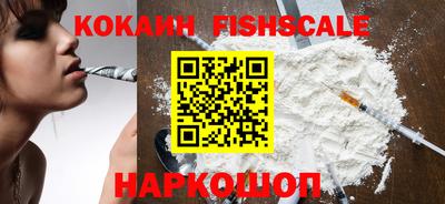 шишки Шелехов