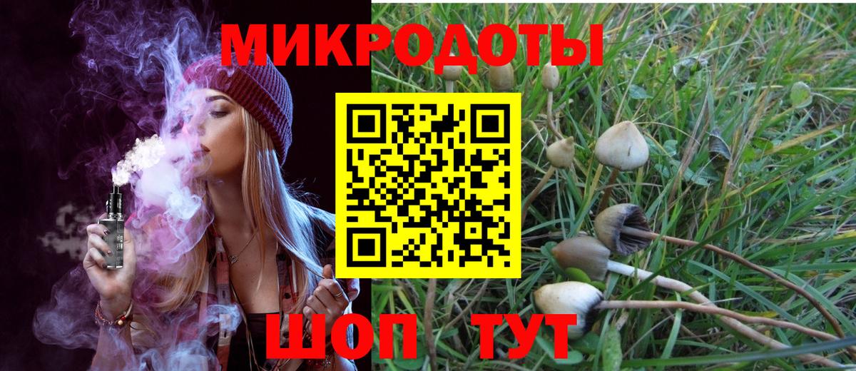 Горно-Алтайск  Галлюциногенные грибы мухоморы  Вход с VPN 