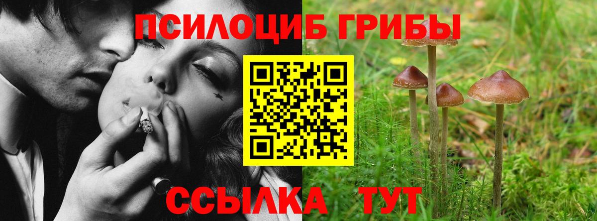 Галлюциногенные грибы GOLDEN TEACHER Горно-Алтайск